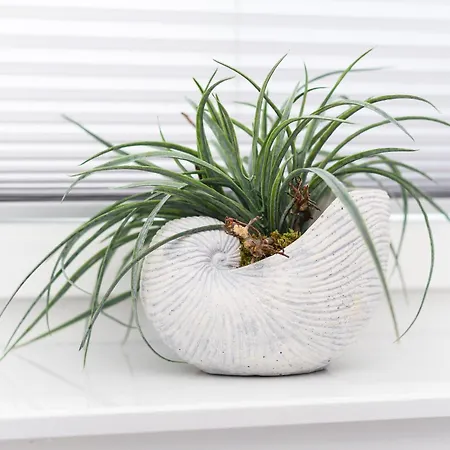 Küstenfein Carolinensiel